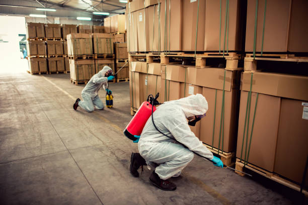 Best Local Pest Control Services  in Wyoming, PA