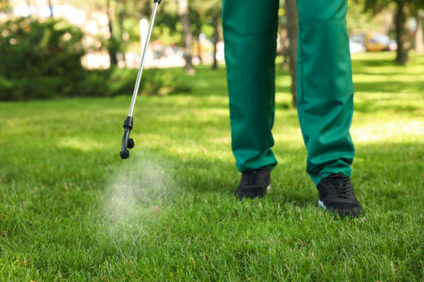 Pest Control for Restaurants in Wyoming, PA