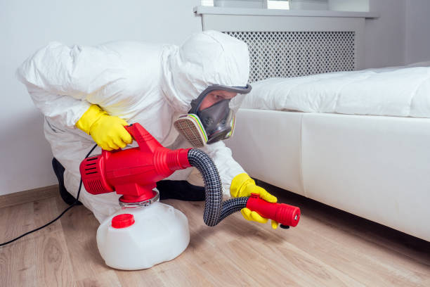 Wasp Removal Services in Wyoming, PA