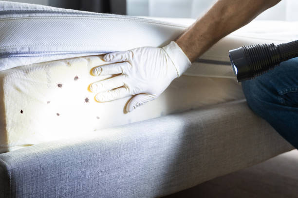Best Cockroach Control Services  in Wyoming, PA