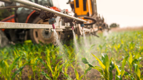 Best Mosquito Control Services  in Wyoming, PA
